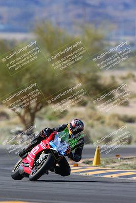 media/Apr-14-2024-SoCal Trackdays (Sun) [[70f97d3d4f]]/1-Turn 5 Tree of Life (920am)/